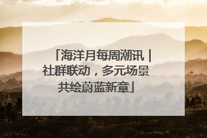 海洋月每周潮讯｜社群联动，多元场景共绘蔚蓝新章