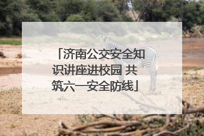 济南公交安全知识讲座进校园 共筑六一安全防线