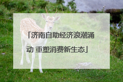 济南自助经济浪潮涌动 重塑消费新生态