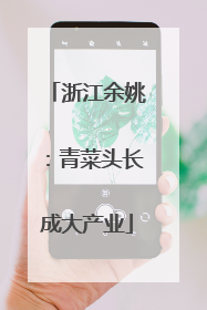 浙江余姚：青菜头长成大产业
