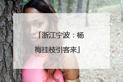 浙江宁波：杨梅挂枝引客来