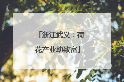 浙江武义：荷花产业助致富