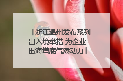 浙江温州发布系列出入境举措 为企业出海增底气添动力