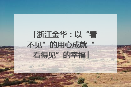 浙江金华：以“看不见”的用心成就“看得见”的幸福