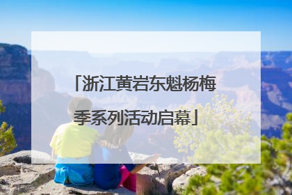 浙江黄岩东魁杨梅季系列活动启幕