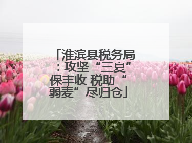 淮滨县税务局：攻坚“三夏”保丰收 税助“弱麦”尽归仓