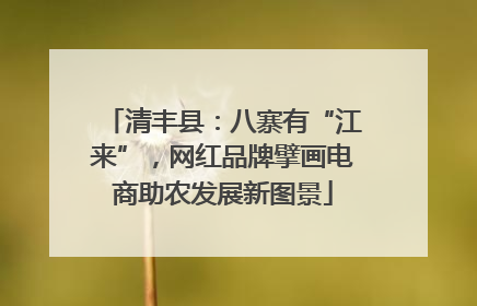 清丰县：八寨有“江来”，网红品牌擘画电商助农发展新图景