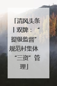 清风头条丨双牌：“提级监督”规范村集体“三资”管理