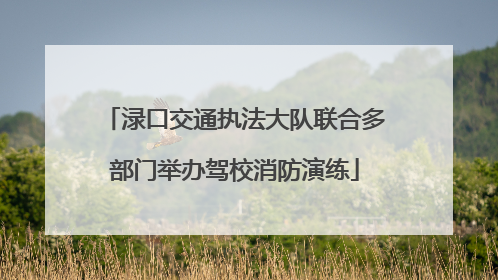 渌口交通执法大队联合多部门举办驾校消防演练