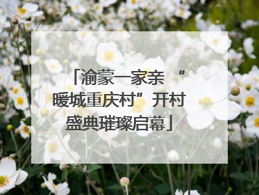 渝蒙一家亲 “暖城重庆村”开村盛典璀璨启幕