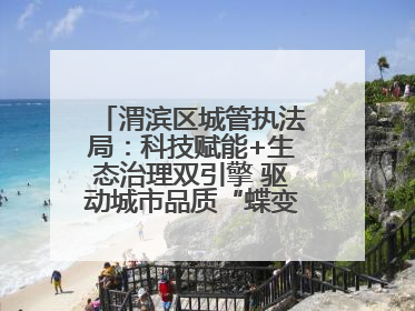 渭滨区城管执法局：科技赋能+生态治理双引擎 驱动城市品质“蝶变跃升”