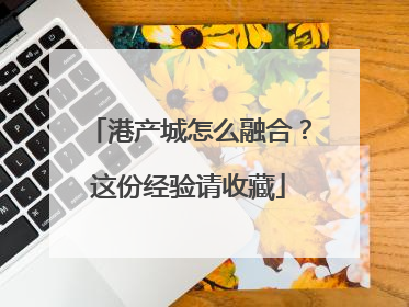 港产城怎么融合？这份经验请收藏