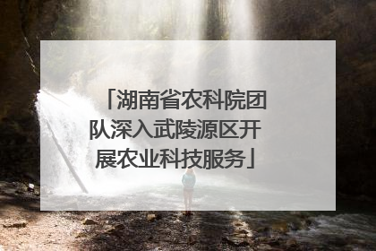 湖南省农科院团队深入武陵源区开展农业科技服务