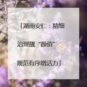 湖南安仁：精细治理靓“颜值” 规范有序增活力