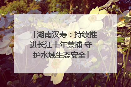 湖南汉寿：持续推进长江十年禁捕 守护水域生态安全