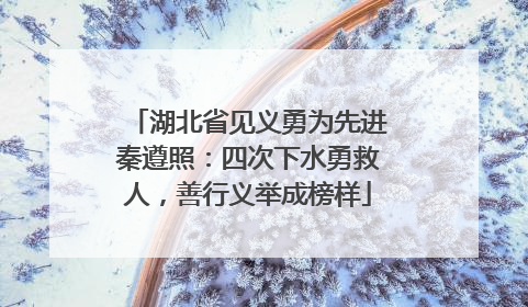 湖北省见义勇为先进秦遵照：四次下水勇救人，善行义举成榜样