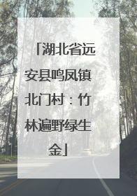 湖北省远安县鸣凤镇北门村：竹林遍野绿生金