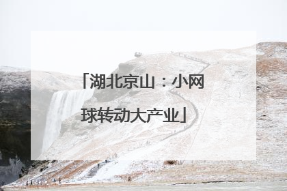 湖北京山：小网球转动大产业