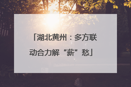 湖北黄州：多方联动合力解“薪”愁