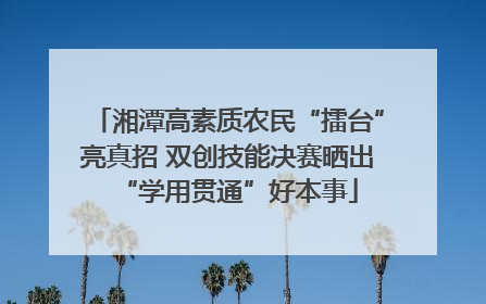 湘潭高素质农民“擂台”亮真招 双创技能决赛晒出“学用贯通”好本事