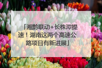 湘黔联动+长株潭提速！湖南这两个高速公路项目有新进展