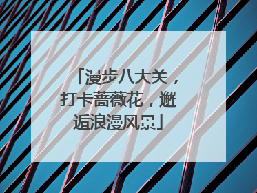 漫步八大关，打卡蔷薇花，邂逅浪漫风景