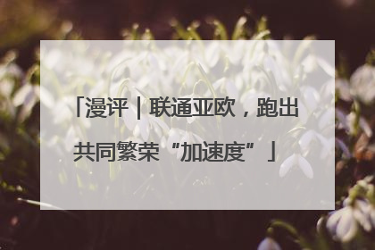 漫评｜联通亚欧，跑出共同繁荣“加速度”