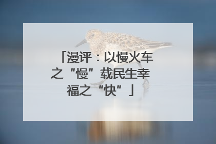漫评：以慢火车之“慢”载民生幸福之“快”