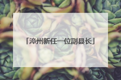 漳州新任一位副县长