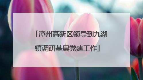 漳州高新区领导到九湖镇调研基层党建工作