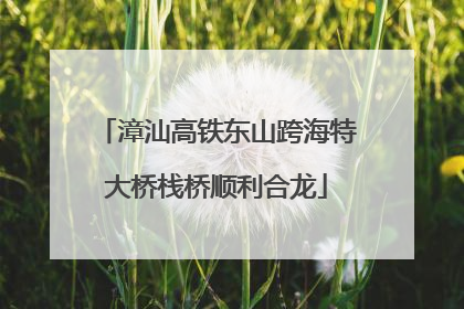 漳汕高铁东山跨海特大桥栈桥顺利合龙