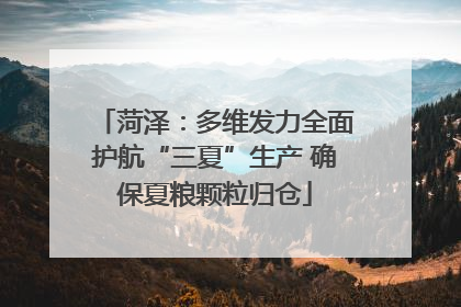 菏泽：多维发力全面护航“三夏”生产 确保夏粮颗粒归仓