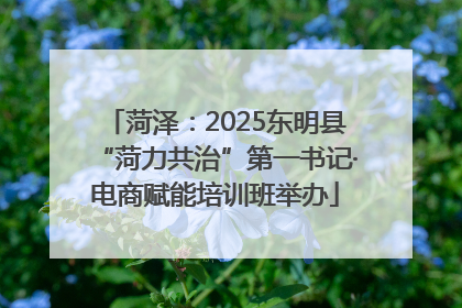 菏泽：2025东明县“菏力共治”第一书记·电商赋能培训班举办