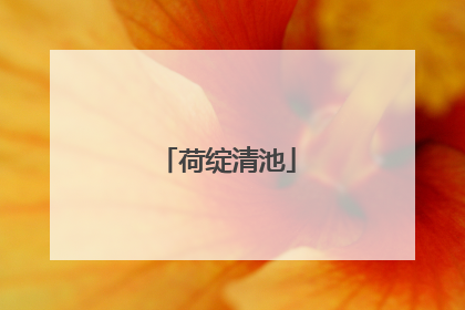 荷绽清池