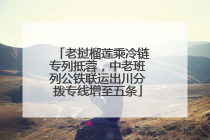 老挝榴莲乘冷链专列抵蓉，中老班列公铁联运出川分拨专线增至五条