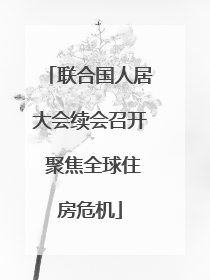 联合国人居大会续会召开 聚焦全球住房危机