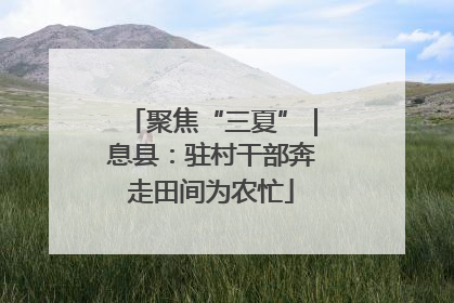 聚焦“三夏”｜息县：驻村干部奔走田间为农忙