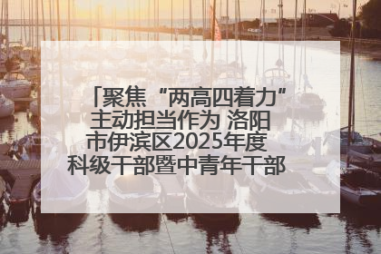 聚焦“两高四着力” 主动担当作为 洛阳市伊滨区2025年度科级干部暨中青年干部培训班开班