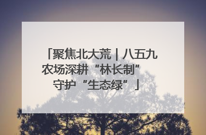 聚焦北大荒｜八五九农场深耕“林长制” 守护“生态绿”
