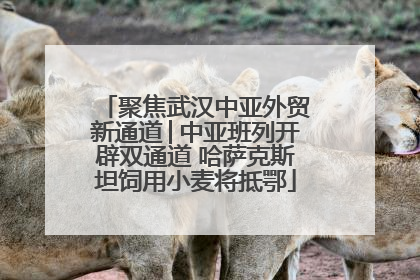 聚焦武汉中亚外贸新通道│中亚班列开辟双通道 哈萨克斯坦饲用小麦将抵鄂