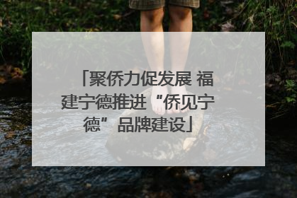 聚侨力促发展 福建宁德推进“侨见宁德”品牌建设