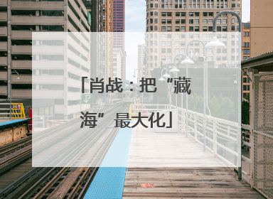 肖战：把“藏海”最大化