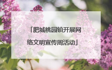 肥城桃园镇开展网络文明宣传周活动