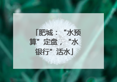肥城：“水预算”定盘，“水银行”活水