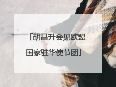胡昌升会见欧盟国家驻华使节团
