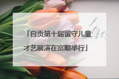 自贡第十届留守儿童才艺展演在富顺举行