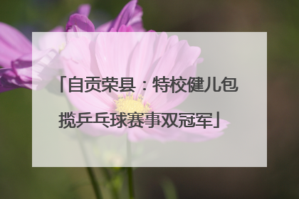 自贡荣县：特校健儿包揽乒乓球赛事双冠军