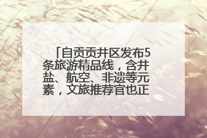 自贡贡井区发布5条旅游精品线，含井盐、航空、非遗等元素，文旅推荐官也正在报名选拔中