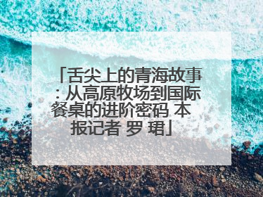 舌尖上的青海故事：从高原牧场到国际餐桌的进阶密码 本报记者 罗 珺