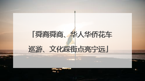 舜裔舜商、华人华侨花车巡游、文化踩街点亮宁远